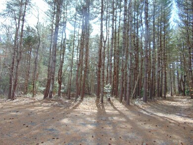 78 Lucy Little Rd, North Dartmouth, MA 02747 - photo 2