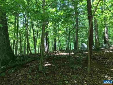458 Stone Chimneys Rd unit I11-1D, Nellysford, VA 22958 - photo 2