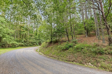 Tract 1 Conniston Rd, Chatsworth, GA 30705 - photo 3