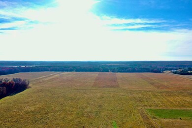 NA 305th Ave NW, Spencer Brook Township, MN 55371 - photo 5