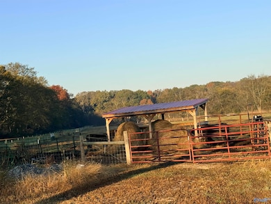 53 Acres County Road 41, Danville, AL 35619 - photo 5