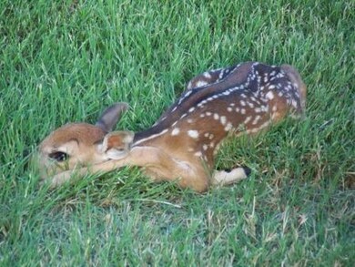 1113 Lakeside Trail, Whitney, TX 76692 - photo 7