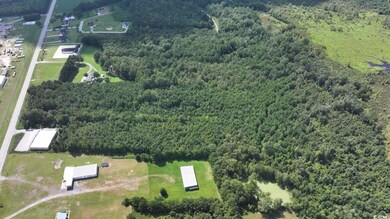 0 Highway 521 unit Lot B, Greeleyville, SC 29056 - photo 6