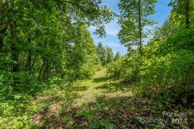 99999 Spring Creek Trail unit 9,11,12,13, Asheville, NC 28806 - photo 7