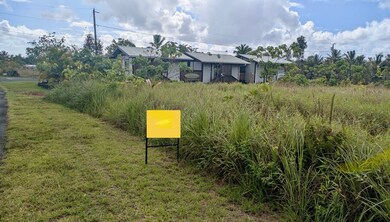 Yellow for sale sign marks the lot, which is overgrown with vegetation, next to a beautiful new build on the east side of the lot.