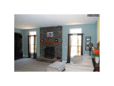 Gas Fireplace