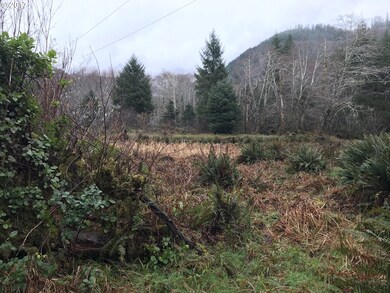 0 Miami Foley Rd unit 17064732, Nehalem, OR 97131 - photo 6