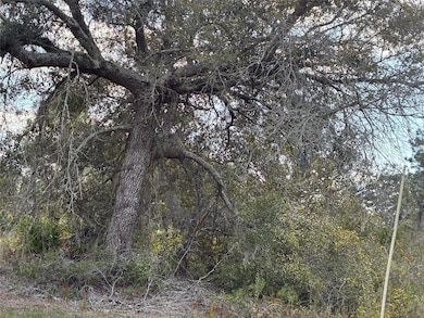 207 Plumosa Dr, Lake Wales, FL 33855 - photo 3