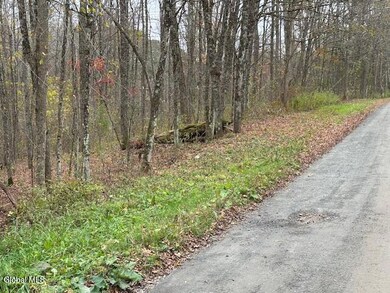 L24.1 Darfler Ln, Granville, NY 12832 - photo 2