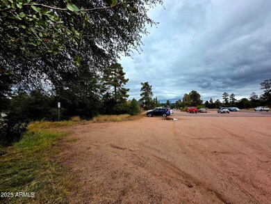 912 N Beeline Hwy unit 88, Payson, AZ 85541 - photo 5