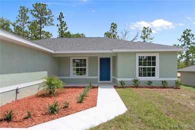 6658 N Bedstrow Blvd, Dunnellon, FL 34434 - photo 4