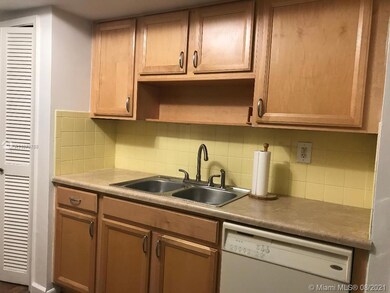 Kitchen sink counter with pantry