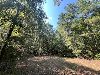 0 French Santee Rd unit 24022267, Jamestown, SC 29453 - photo 5