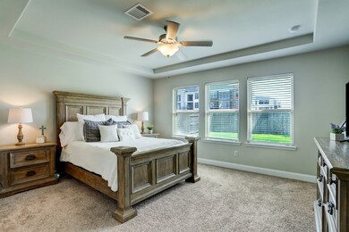 PRIMARY BEDROOM  Generous is size and with a trayed ceiling, the primary bedroom is located are the rear of the home.  The split floorplan affords quiet and privacy.  A view of the large backyard is enjoyed.