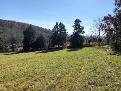 5.9 Ac. - Forest Grove Rd unit 703, Lexington, VA 24450 - photo 3