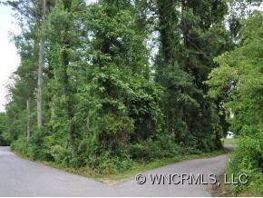 00 Chapel Park Place, Asheville, NC 28803 - photo 4