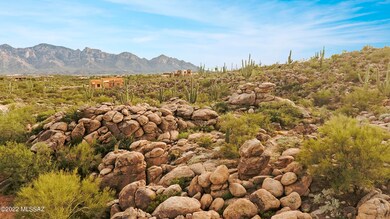 192 W Shimmering Desert Place unit 584, Oro Valley, AZ 85755 - photo 6