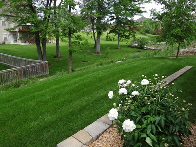 backyard b