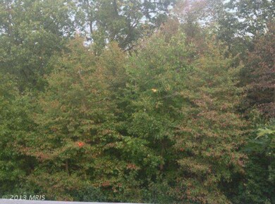 4455 Blue Heron Way, Bladensburg, MD 20710 - photo 3