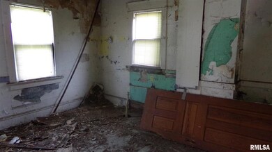1021 13th Ave, Rock Island, IL 61201 - photo 4