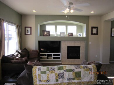 217 Chapel Hill Dr, Brighton, CO 80601 - photo 6