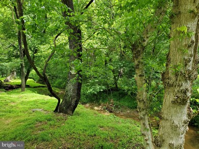 00 Ridgeview Ln, Washington, VA 22747 - photo 7