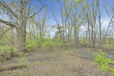 5-web-or-mls-DJI_0600