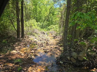 TR 18&19 Long Creek Pass, Albion, OK 74571 - photo 4