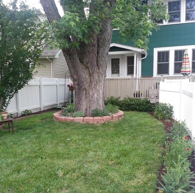 Backyard1