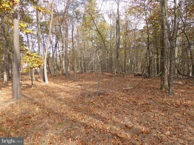 LOT 6 Noland Ridge Rd, Gore, WV 25444 - photo 6