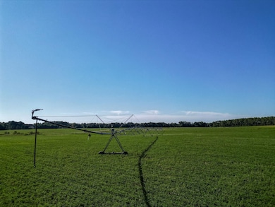 Pullen Rd, Damascus, GA 39841 - photo 5