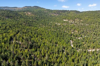 Your future homesite awaits in a lush forest setting