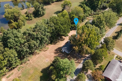 1378 Skelcher Blvd, Makanda, IL 62958 - photo 3