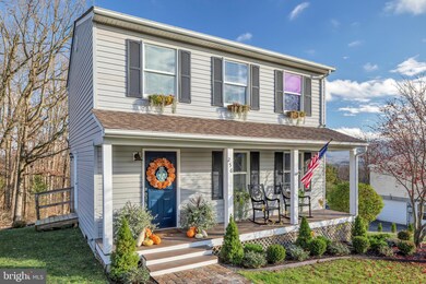 256 Little Sorrel Dr, Strasburg, VA 22657 - photo 3