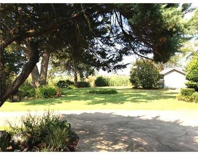 Back Yard. Storage