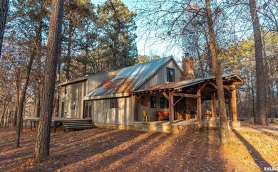 15247 Laminack Rd, Carterville, IL 62918 - photo 6