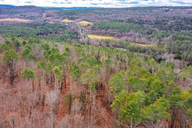 40 E Putney Brook Rd, Putney, VT 05346 - photo 6