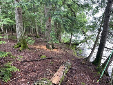 Lot # 4 Kolm Ln, Garland, ME 04939 - photo 3