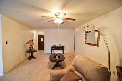 405 Sundial Ave, Alamogordo, NM 88310 - photo 6