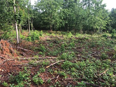 building site partially cleared