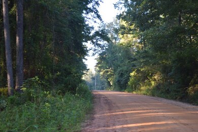 152 Strickland Rd, Attapulgus, GA 39815 - photo 3