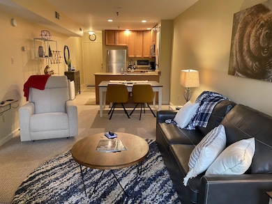 31 Ash Lodge Ct, Davis, WV 26260 - photo 2