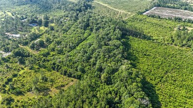 0-0 Foxwood Rd, Nahunta, GA 31553 - photo 2