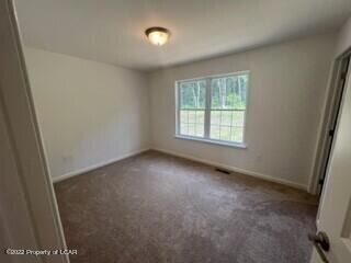 332 Long Run Rd, Drums, PA 18222 - photo 5