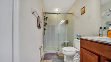 Master Bath -Solid Glass Shower doors