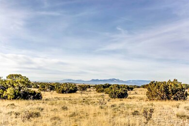 0 Tren Viaduct, Eldorado at Santa Fe, NM 87508 - photo 7