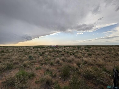 0 Llauds Rd, Roswell, NM 88201 - photo 7
