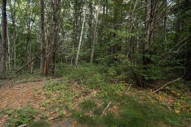 1 Lils Aly, York, ME 03909 - photo 5