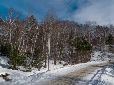 723 Stone House Rd unit F22, Winhall, VT 05155 - photo 5