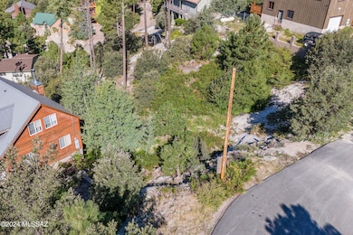 12617 N Ajo Ave, Mt. Lemmon, AZ 85619 - photo 3